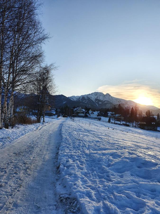 Podhalanskie Zacisze Zakopane Extérieur photo