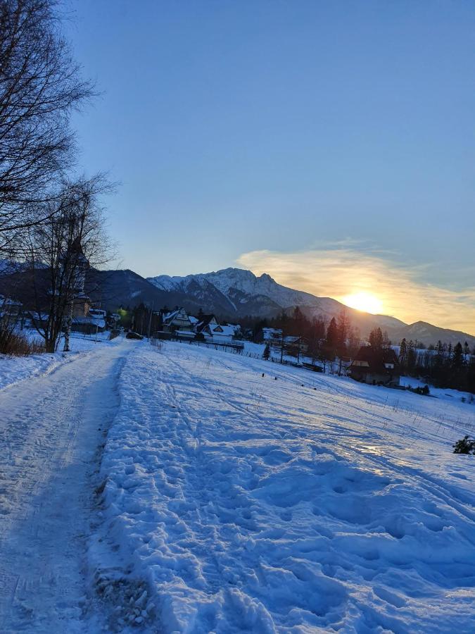 Podhalanskie Zacisze Zakopane Extérieur photo